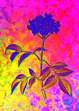 Neon Botanical Drawing