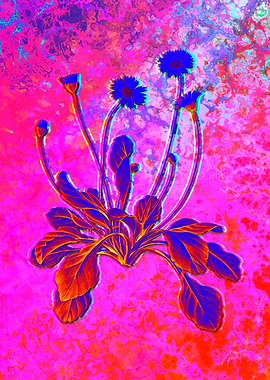 Neon Botanical Drawing
