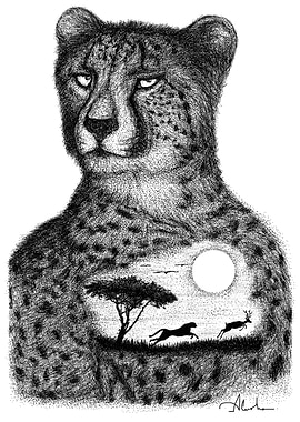 CHEETAH
