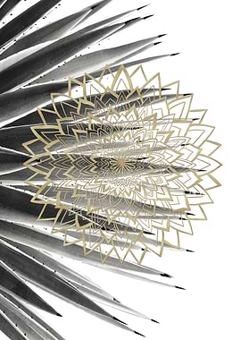 Gold Mandala on Agave 1
