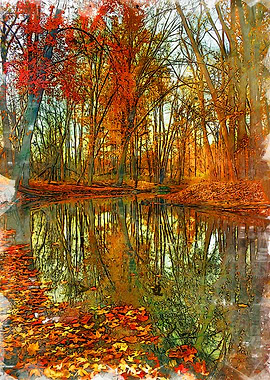 Sycamore Autumn Moods