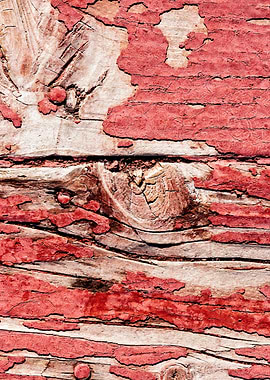 Impressive Wooden Surface