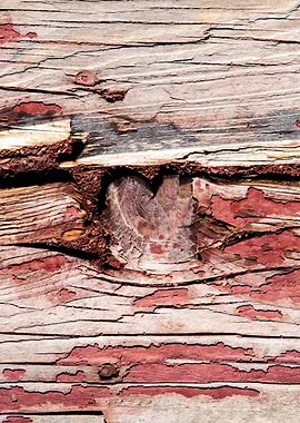 Wooden Knot And Red Paint