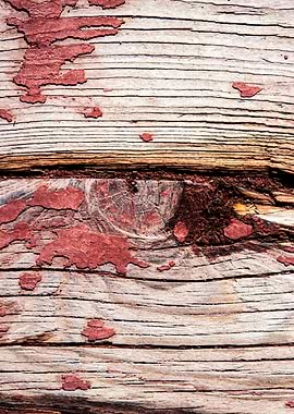 Stylish Wooden Surface