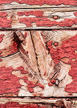 Coral Color Wooden Planks