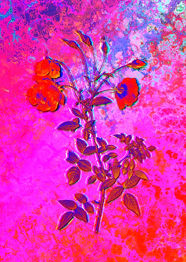 Neon Flower Illustration