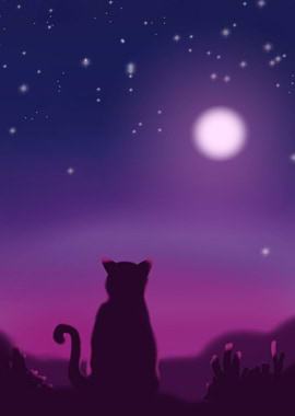 Cat on the night