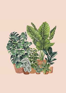 House Plants Watercolor Il