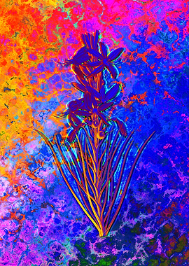 Neon Floral Illustration