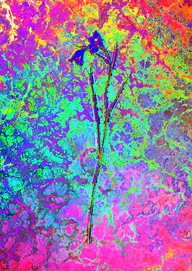 Neon Floral Illustration