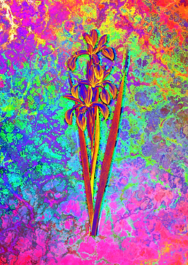 Neon Floral Illustration