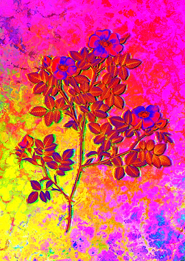 Neon Flower Illustration