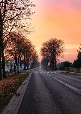 Sunset over a rural road