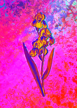 Neon Botanical Drawing