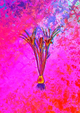 Red Botanical Illustration