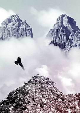 Climate Change Garbage