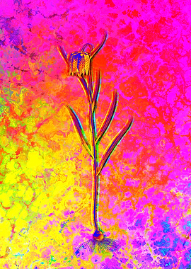 Red Botanical Illustration