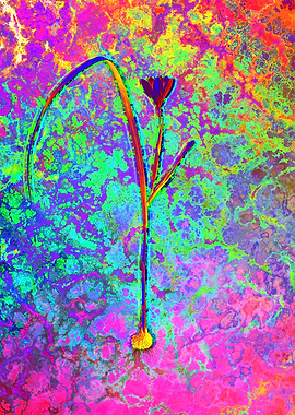 Red Botanical Illustration