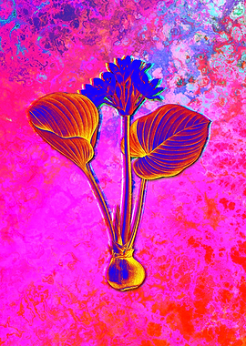 Red Botanical Illustration