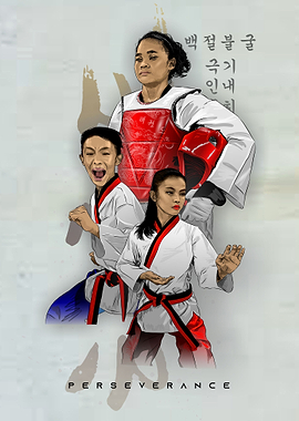 taekwondo perseverance