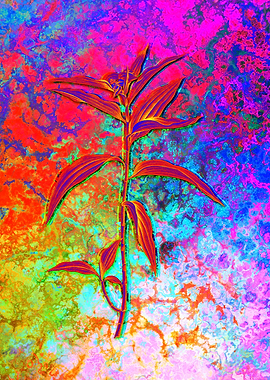 Neon Botanical Drawing