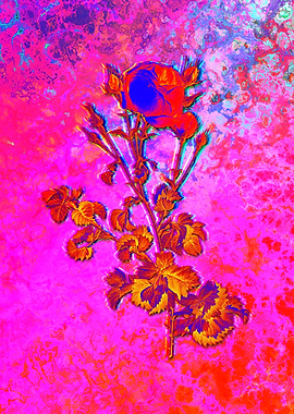 Red Botanical Illustration