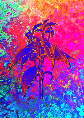 Red Botanical Illustration