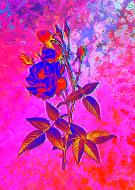 Neon Flower Illustration