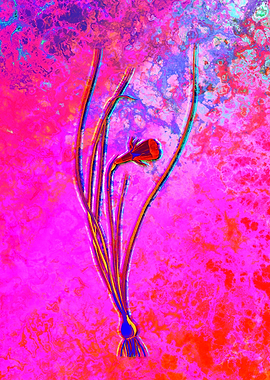 Neon Botanical Drawing