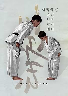 Taekwondo discipline