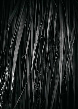 Zurich Botanical Garden