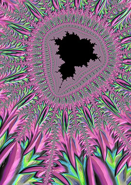 Flashy Mandelbrot Fractal