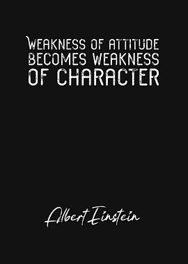 Albert Einstein Quote 8