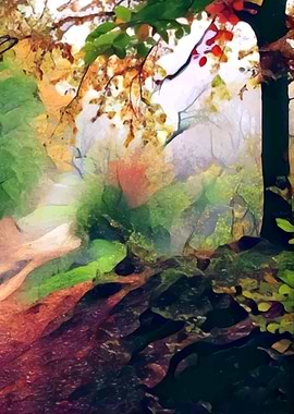 Colorful Path in Jungle