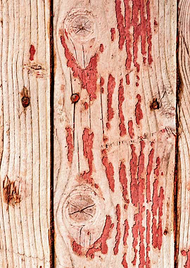 Rough Wooden Planks
