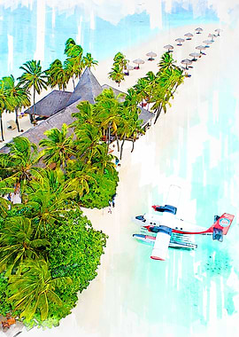 Maldives Beach Sea Plane