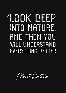 Albert Einstein Quote 1