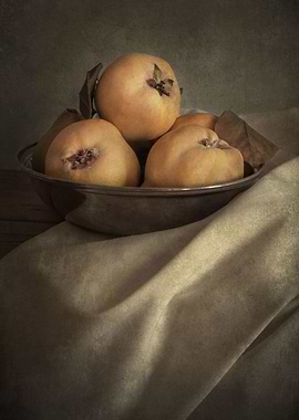 Still life with pears