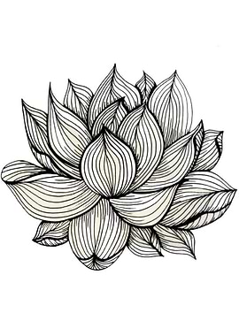 Lotus Flower