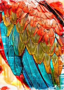 Close Chromatic Feathers 3