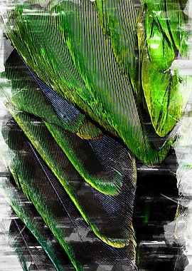 Green Chromatic Feathers 1