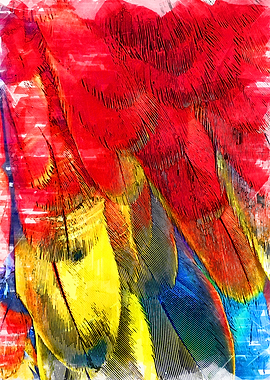 Close Chromatic Feathers 2