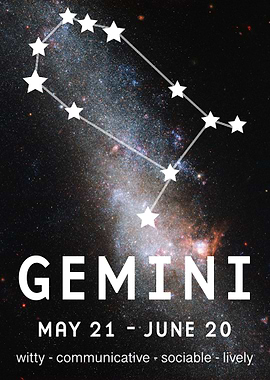 the sign of the twins