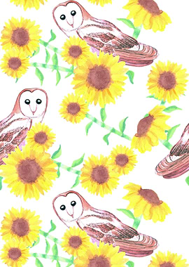 Barn owls and sunflowers