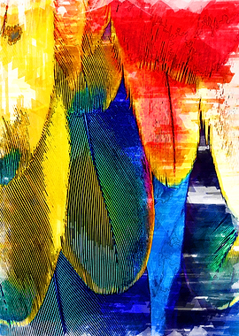 Close Chromatic Feathers 1