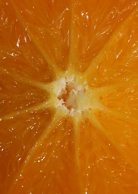 Orange fruit macro prints