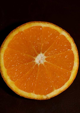 Orange fruit macro prints