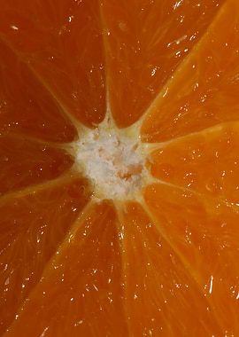 Orange fruit macro prints