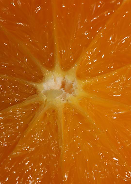 Orange fruit macro prints