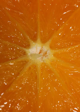 Orange fruit macro prints